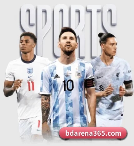 五大服务分区,信息按项目分类